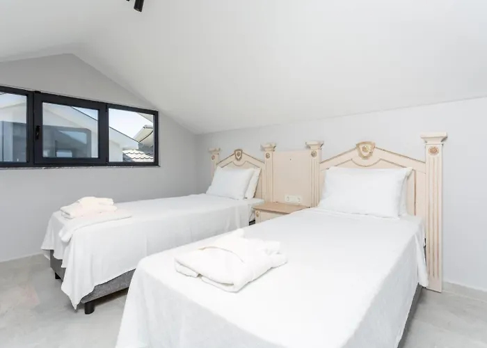 Exclusive Paradise 3